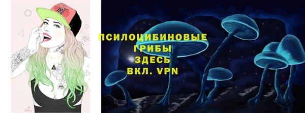 марки lsd Богородицк