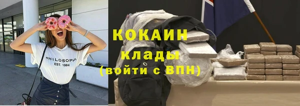 соль ск Богородск