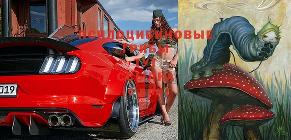 таблы Богданович